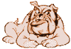 Woodridge Bulldog